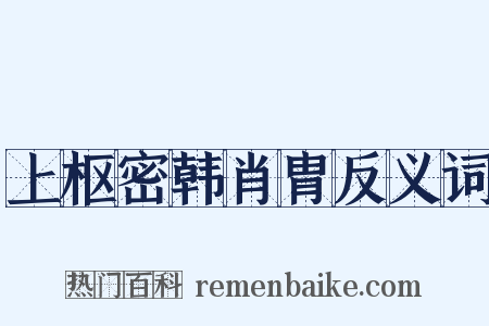 上枢密韩肖胄反义词是什么意思的图片